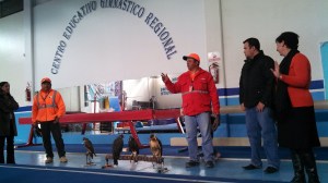 IMG_20140122_121028_408