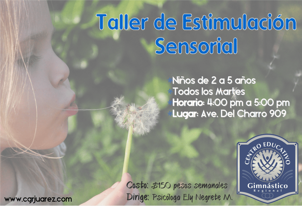 Estimulacion sensorial